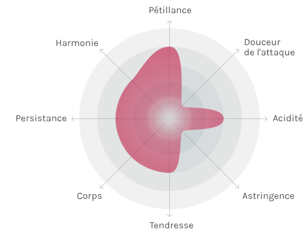 Spinnennetz-Chart