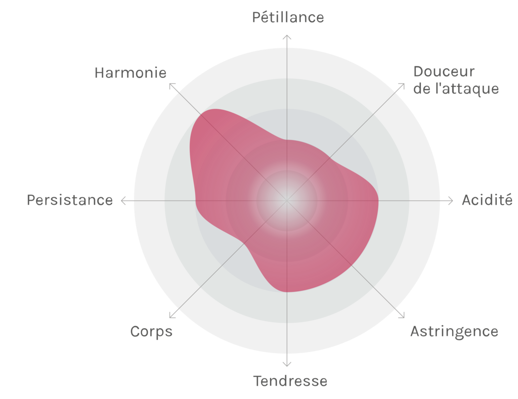 Spinnennetz-Chart