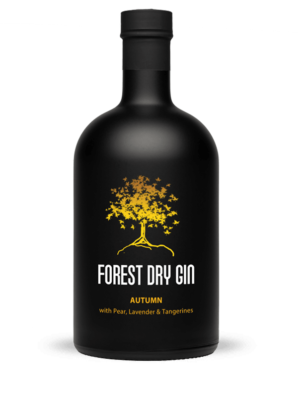 242991_forest_dry_gin_autumn