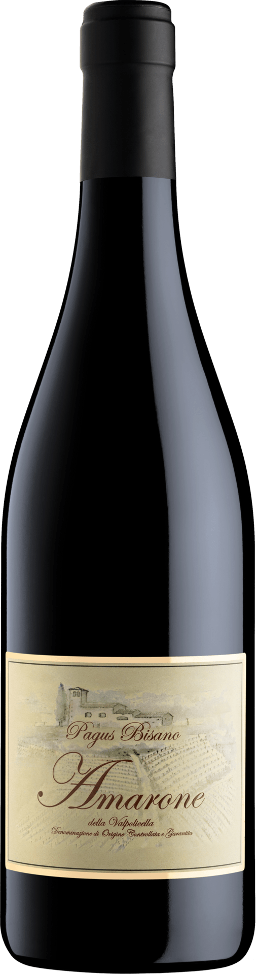 Amarone della Valpolicella DOCG Pagus Bisano