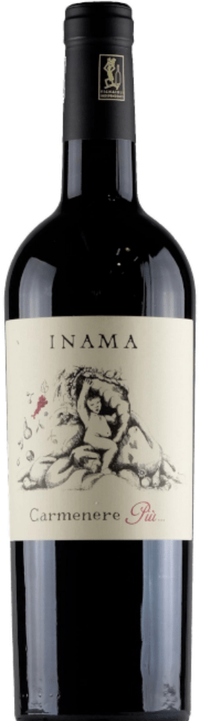 Carmenere Più IGT Veneto Rosso