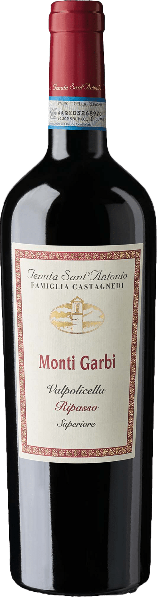 Valpolicella superiore DOC Ripasso Monti Garbi