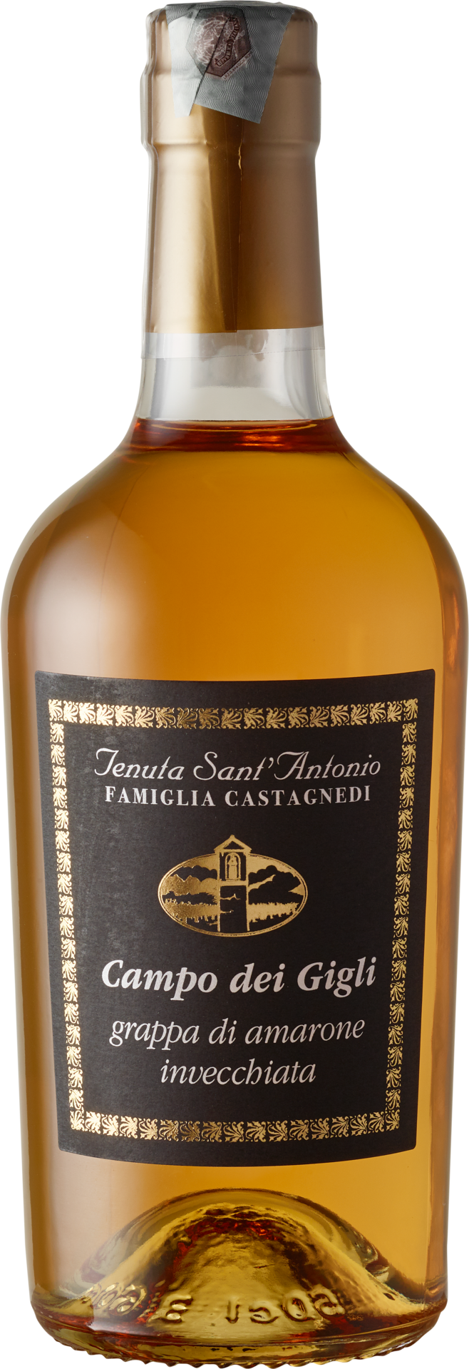 Grappa di Amarone Invecchiata Campo dei Gigli