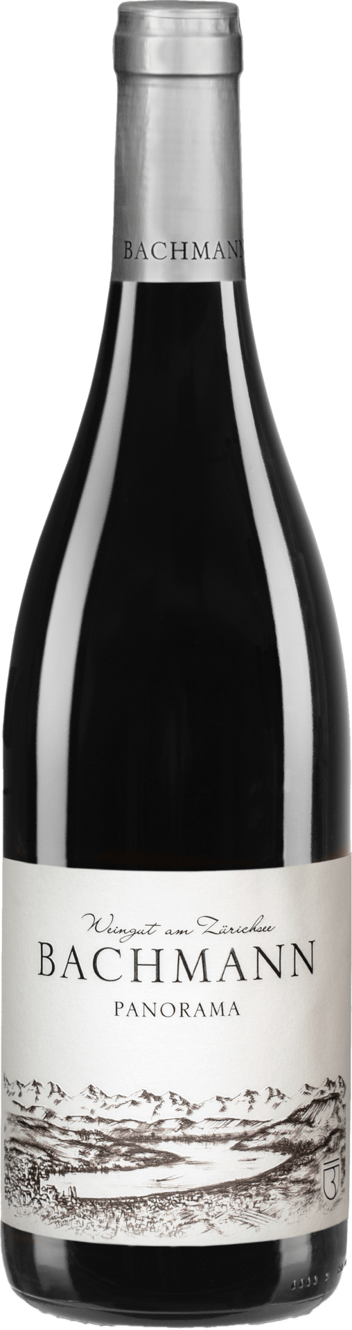 Panorama rot AOC Zürich