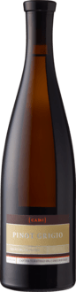 Pinot Grigio Venezia DOC