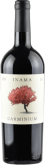 Carminium Carmenere DOC 2020 75cl