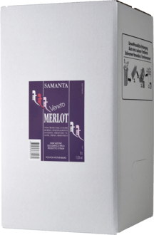 Merlot Veneto IGP secco  1000cl