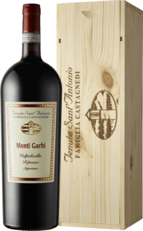 Valpolicella superiore DOC Ripasso Monti Garbi