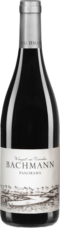 Panorama rot AOC Zürich