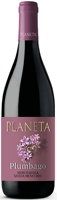 Rosso Sicilia DOC Plumbago Bio