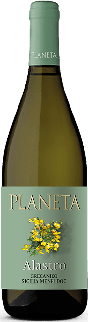 Alastro Bianco Sicilia DOC - Bio 