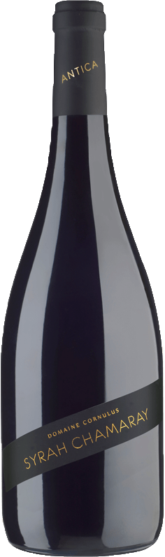 Syrah Chamaray AOC Valais Antica - Bio