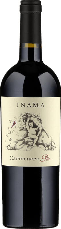 Carmenere Più IGT Veneto